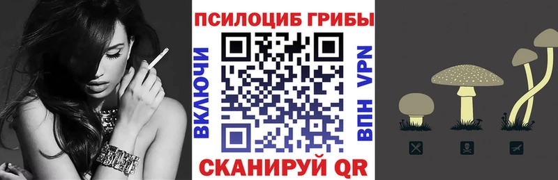 MEGA зеркало Нижнекамск Галлюциногенные грибы Cubensis продажа наркотиков