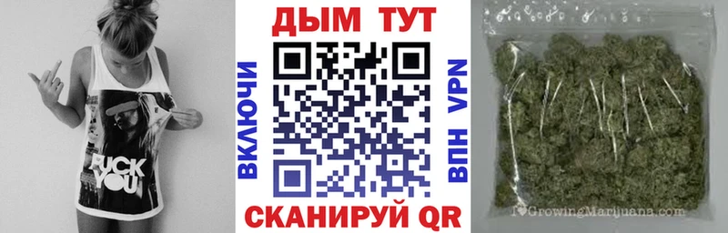 OMG ONION  Нижнекамск  Марихуана сатива 